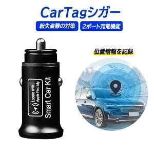CarTagVK[[d h~^O VK[\Pbǧ^ USB-A USB-C QC3.0}[dΉ X}[g^O ԈʒumF h~ IOSp MFiF؎擾 LST-CTAP200