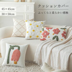 �N�b�V�����J�o�[ 45X45cm 30×50cm �T���T�����G�� �ӂ�ӂ� �_�炩�� ���J�o�[ �k�� ������� ���z�c�J�o�[ �\�t�@�w���� �ґ� �\�t�@ �Q�� ���r���O���[�� �a�� ������ �Ɩ��p ���� �I�t�B�X 