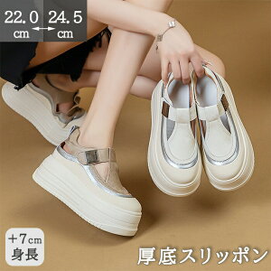 Xj[J[ T_ fB[X T}[Xj[J[ Xb| 7cmq[ ăV[Y Jbg[N ʋC  ؂₩  EhgD C r gAbv Vv g