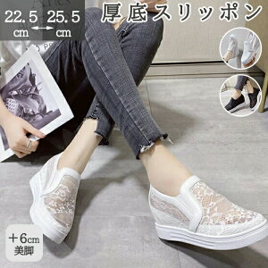 Xb| EGbW\[ C T_ ~[ Xbp Xb| ƂȂ fB[X Cq[ I[vgD q[6cm ₷ ɂ JWA  AE