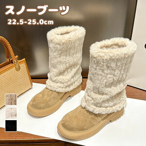 [gu[c fB[X Xm[u[c V[gu[c  ّf ؂ւ tFCNt@[ tFCN[g XG[h N C r h h ۉ ~pu[c ʊw ʋ 