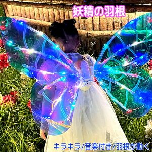 H d   H ΂  LED  d d̉H   H΂ LL  q ߑ ̎q d Gt RXv   ̉H  w p[eB[  ϐg 