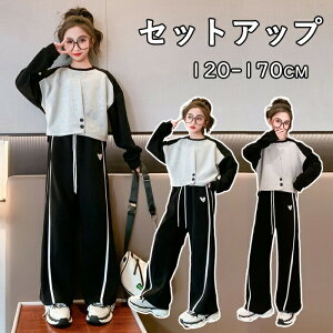 q ZbgAbv 2_Zbg ̎q tH w X[c pc K[Y LbY ؂ւ zF n[gS Vc Opc {gX Y{ XEFbg Chpc  ㉺Z