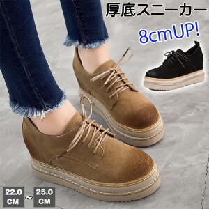 Xj[J[ Xj[J[C\[  Xj[J[ C v nCq[ 8cm Cq[Xj[J[r i Xb| V[Y V[Y TChS RȂ ₷ 