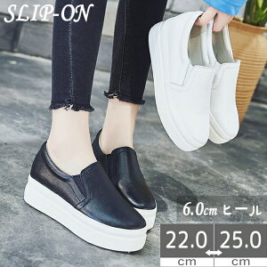 Xj[J[ Xb| Xj[J[ V[Y [t@[ [Jbg fB[X i[XV[Y v Cq[ RtH[gV[Y U[ ₷ ₷ y ʋC ᔽ
