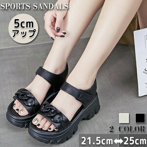 X|[cT_ rbgT_  T}[V[Y fB[X V[Y  JWA EhgD Xgbv ʃt@Xi[ EGbW\[ 5.5cmq[ gAbv Abv X