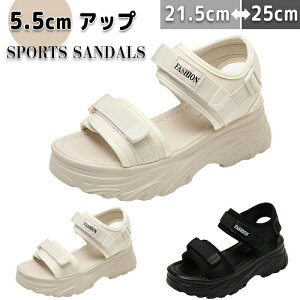 T_  T}[V[Y fB[X V[Y  X|[cT_ EhgD Xgbv ʃt@Xi[ EGbW\[ 5.5cmq[ gAbv Abv V ₷ 