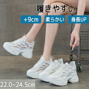 Xj[J[ fB[X bVXj[J[ X|[cV[Y V[NbgV[Y 9cm gAbv C ꂢ 킢 C ؍  ₷ Ȃ L r r