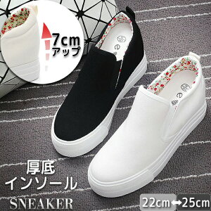 Xj[J[ fB[XC C EhgD  C\[ Cq[ 7cmgAbv Abv r LoX ʋC n RȂ ₷ JWA [Jbg fB[Xt@bV