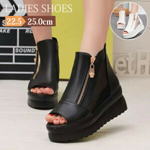 u[c fB[X C C V[Y y T_  V[g 4cmq[ EFbW\[ fB[XC Cq[Xj[J[ fB[XT_ V[gu[c ₷ r