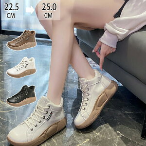 Xj[J[ Xb| nCJbgXj[J[ fB[X V[Y C u[c EH[LOXj[J[  L y  킢 EH[LO ₷ W ₷