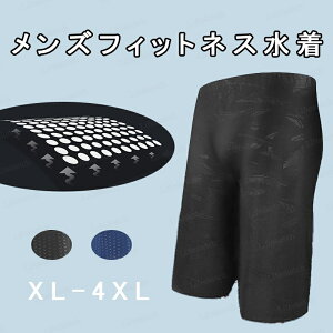  Y tBbglX Z XC~Opc Kp jp g[jO XCEFA G X|[c z ^C H Lk 傫TCY EGXg߉\ j