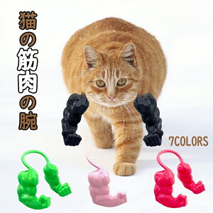 _2025V^ L ʔObY L̘̋ؓr ybg RXv L RX`[ nIȋȘr 3D nEB ^тȒP ʔybg݂̏r ybgRXvANZT