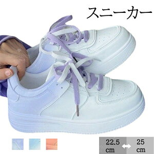 Xj[J[ fB[X  Ȃ Sn y ~  ʋC ϋv lC _bhXj[J[ fB[XV[Y ؍ V[Y y EH[LOV[Y ubN g