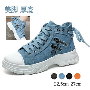 Xj[J[ fB[X Xj[J[₷ V[Y nCJbg fB[XV[Y Xj[J[ q[4.5cm gAbv ʊw ʋ Ȃ V[Y t  H ~  r _