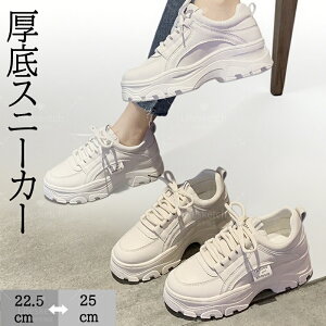 Xj[J[ fB[X  Xj[J[ Sn y ~ h r r  ʋC ϋv ؍ V[Y ɂȂ ʋC Vv ؍ gAbv lC fB[X