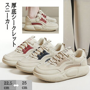 Ȃ  Xj[J[ fB[X Xj[J[  WjA y Sn ~  ʋC ϋv  ₷ ₷ O ɂ ꂢ Cq[