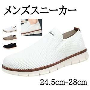 Xj[J[ y  Y V[Y jOV[Y X|[cV[Y Xb| EH[LO ^C  s ʊw ʋ jO y y  Sn ʋC 풅p 