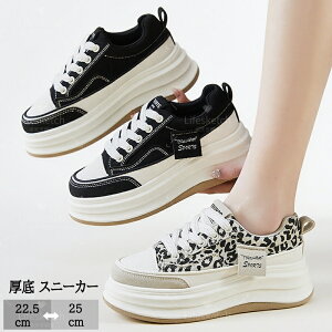  Xj[J[ fB[X 5cm Ȃ Sn y ʋC ϋv ~ fB[XV[Y V[Y y EH[LOV[Y ؍ gAbv  r ₷ 