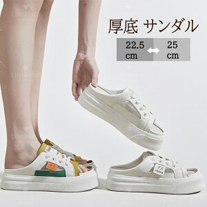 T_ fB[X ₷ X|[cT_ Xb| V[Y Sn悢 Xbp  ؍ y ʋC  r EH[LOV[Y  _炩 ăT_ s 