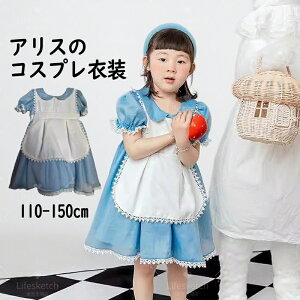 vZX hX q nEB RXv q ̎q 킢 v[g VY h[[ { J`[V qhX q qǂ nEBߑ RX`[ p[eB[ 