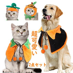 nEB  ybg Lp ybgp pvL RXv  }g  L P[v }g ڂ  hbOEGA  ybgEGA Cxg J{` ߑ ybg ybgp