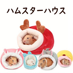 nX^[ Q nEX 􂦂  giJC NbV  h[^  NbV pnEX  xbh A Q Q z _炩  h  ΍ 