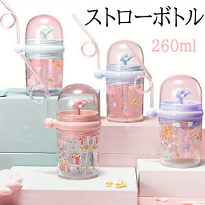 XP[^[  Xg[ Xg[{g LbY qp ǂ  4F  y y 킢 260ML Xg[t  ̎q j̎q NW  ۈ牀 ct ʉ ʊw w J