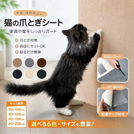 猫 爪とぎ 防止 シート 透明 強力粘着 貼ってはがせる 賃貸OK 壁紙 保護シート 壁 傷防止 ソファ 柱 畳 ひっかき防止 ペット用品 自由カット 厚手タイプ