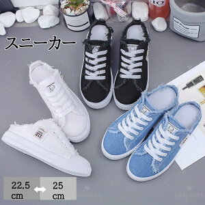 Xj[J[  Xj[J[ T_ fB[X Cq[ T_ Xb| LoXXj[J[ Rt ₷ wlC ƂȂ Xj[J[  T{ Xb| y 