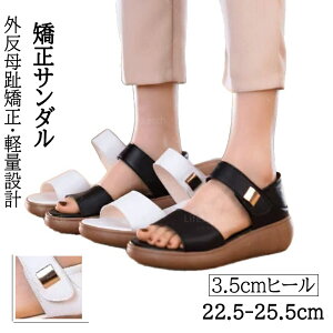 T_ O䋸 X|[cT_ T_ fB[X EFbWT_ gAbv RtH[gT_ Xj[J[T_ ėp EFbW\[ ɂ y 