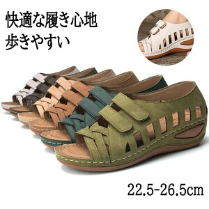 T_ fB[X T_ EFbW\[ [q[ }WbNe[v y ɂ ₷ ɂȂT_ EFbWq[T_ ʋ ʊw d  GKg 