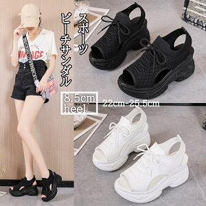 X|[cT_ fB[X 8.5cmq[ T_ bV y EFbW\[ T_ Xj[J[T_ X|[cbVT_ ʋC V[Y Xj[J[ r X