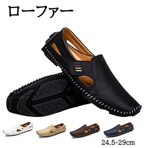 [t@[ Y t@bV T_ CW[V[Y }WbNe[v \tgU[ tbgV[Y ʋC y JWA  hCrO ʋ ~ ϖՐ 傫TC