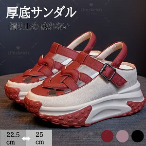 T_ fB[X 6cmgAbv Xj[J[T_ 󒤍fUC y r L  ʋC ~ ₷ Ȃ ʋ ʊw JWA t  JWA 