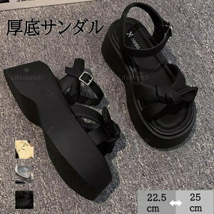 fB[X T_  { l킢 r[`T_ ₷ r JWAT_ C ʋC Ȃ AEghA ItBX EH[LO  傫TCY T