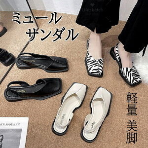 obNXgbvpvX fB[X ~[ T_ y [q[ pvX XNGAq[ 邫₷ r EȂ 2.5cm XNGAgD ₷ V[Y fB[X ~