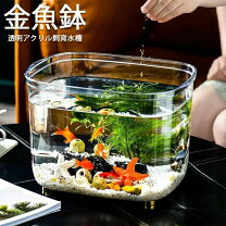 楽天市場】水槽金魚グッズの通販