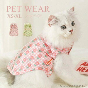 ybgEGA ybg L   XibvJ Ȃ m[X[u pȒP Lp ˂ ybg  ybgG ẴybgEFA o U K ʋC JCC O[ s