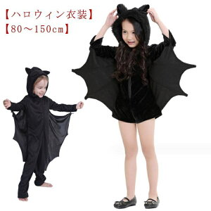 nEB RXv ߑ LbY xr[ p[X Ԃ q ̎q j̎q  RE fr  RX`[  