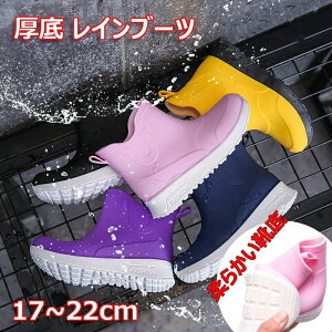 LbY  Cu[c q JC j̎q ̎q CV[Y h y Jp V[g u[c ~ JC ʉ ʊw ~J 䕗 ЊQ΍ AEghA Vv n S4F 17.5cm 18