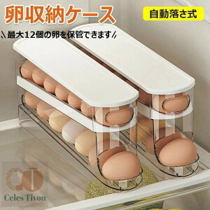  [{bNX [O  12 2iGbObN P[X ①ɗp  I[KiCU[ ܂ [P[X ȃXy[X fBXyT[gC Lb` ̗e o