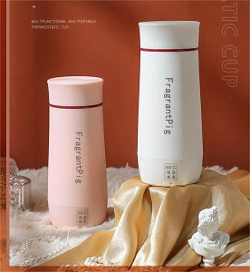 ポータブル電気ケトル 電気水筒 電気ケトル 電気ポット 45℃〜100℃ 350ml DC12V小型車/24Vトラック兼用 魔法瓶ポット ポータブル 旅行 外出 自動電源OFF 空だき防止機能 5分間で沸騰 誕生日 おし