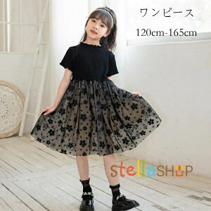 q ̎q s[X ubN 킢 s[X `[ ԕ LbY  s[X tH[} \  s[X 120 130 140 150 160 165 G Beʐ^ p[eB[ Cxg 