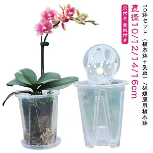 10鉢セット プラスチック 透明 胡蝶蘭 植木鉢 穴付き 胡蝶蘭鉢 プランター 洋蘭鉢 穴付き 胡蝶蘭の植え替え セット 植木鉢 オーキッドポット 屋内 屋外 鉢 観葉植物 多肉植物 植え替え 育苗ポ