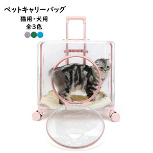 ybgL[obO ybgL[J[g gN L[obO LL[obO Lp p ybgp  INS lCi ybgobO e 傫TCY  ybgpi 