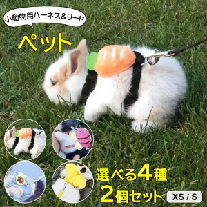 qLA^Kp Iׂ4 2Zbg ybgpi ETM qL n[lX [h Zbg   bg qL q p \  Up