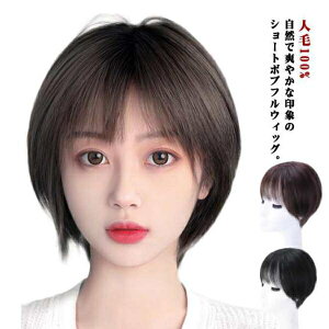 ~`E B  ނ R A V[gEBbO {uEBbO fB[X ×p EBbO tEBbO