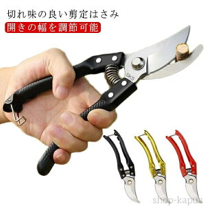 剪定はさみ 園芸用はさみ 剪定ハサミ 小枝 生け花 切り花 ハサミ 枝切 軽量 高強度合金 ガーデニング鋏 家庭菜園 園芸用 家庭用 剪定鋏 園芸作業 枝切はさみ 枝きり 盆栽 フラワーアレンジメ