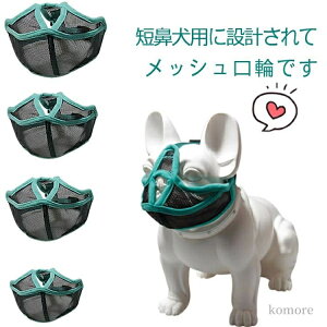 p}Y t`?uhbO }XN ̌ ݂ ʖi EH~ }Y bV Z@̌  